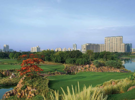 landscape garden in DLF Camellias Gurgaon